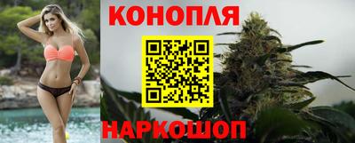 прущие крисы Можга